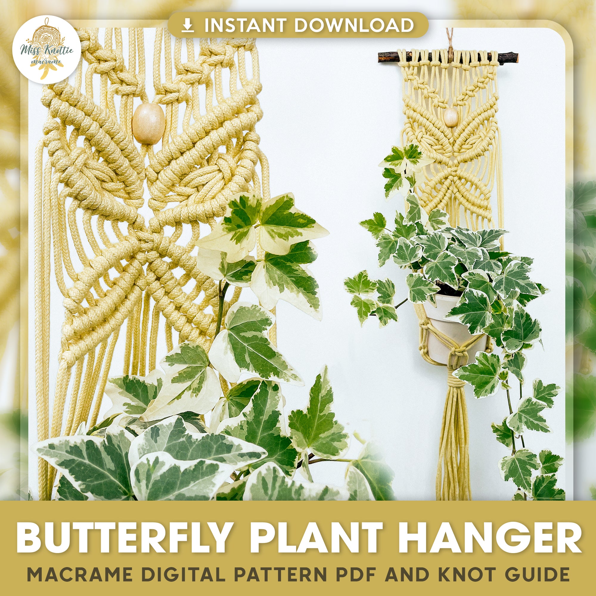 hanging plants guide Butterfly Plant Hanger