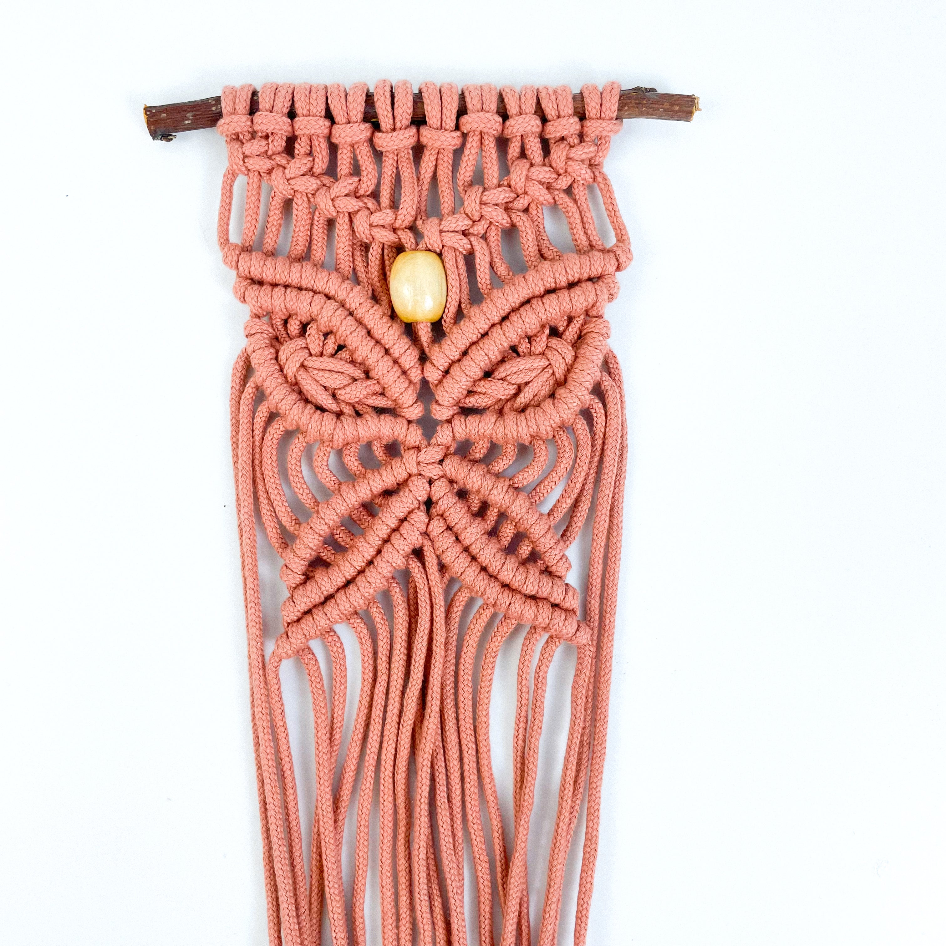 Kit fai da te - Macrame Butterfly Plant Hanger - Crea il tuo kit