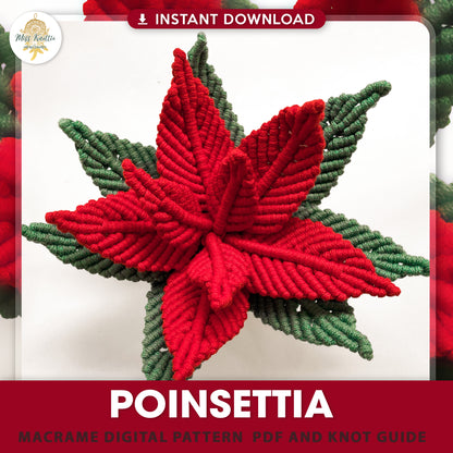Macrame Poinsettia - Digital PDF and Knot Guide