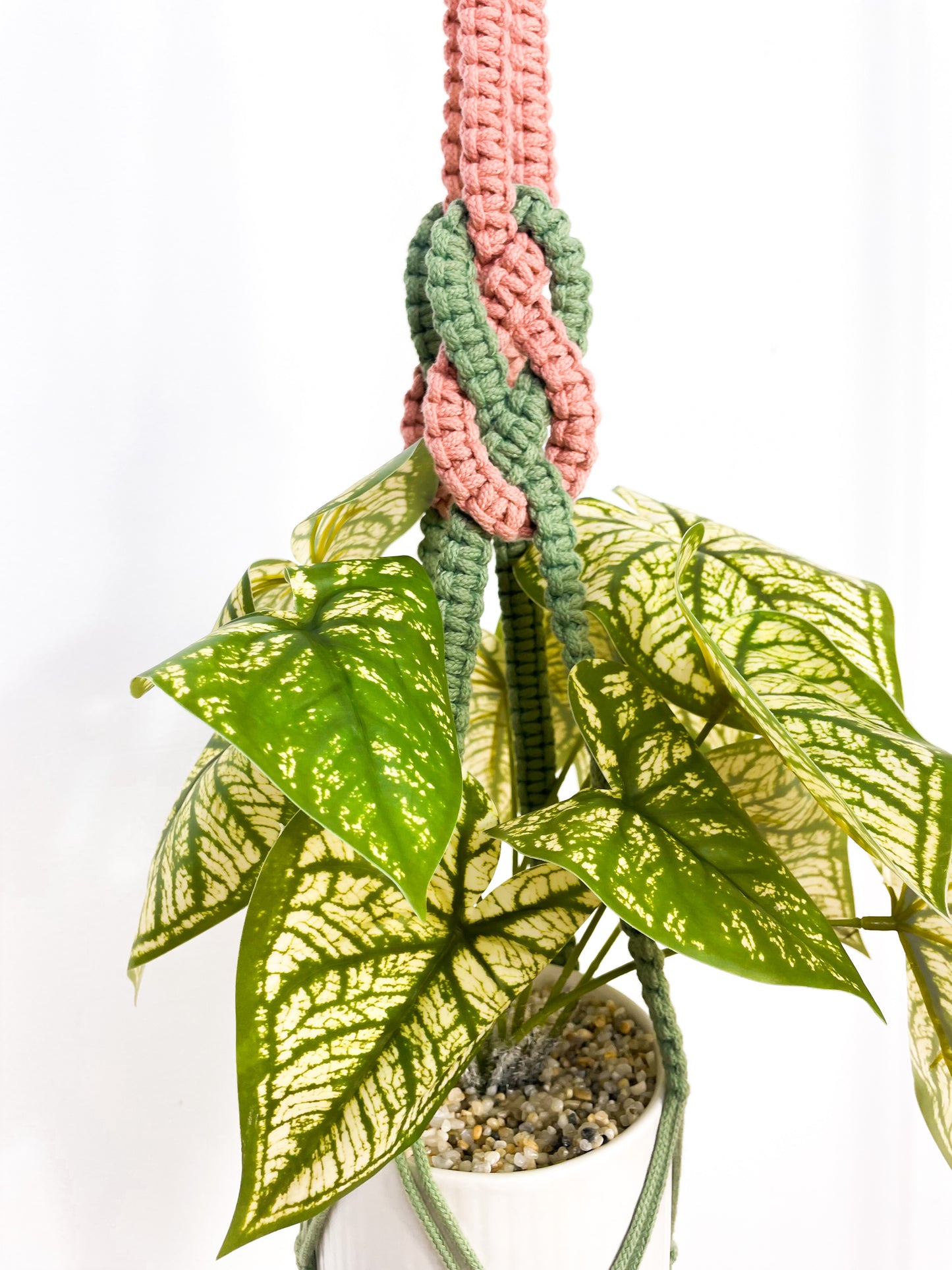 Josephine Plant Hanger - Digital PDF and Knot Guide