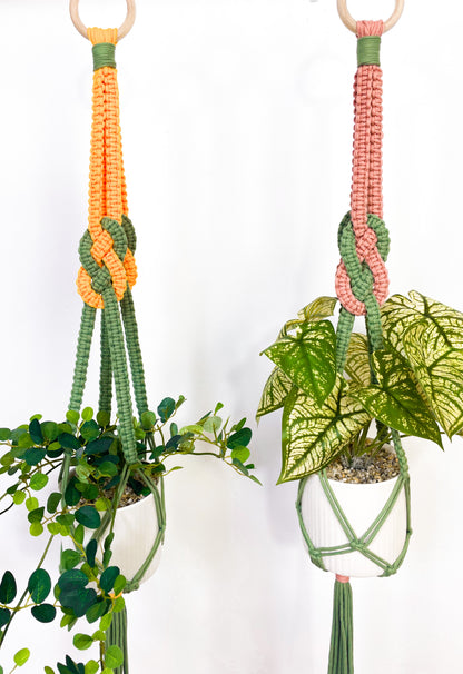 Josephine Plant Hanger - Digital PDF and Knot Guide