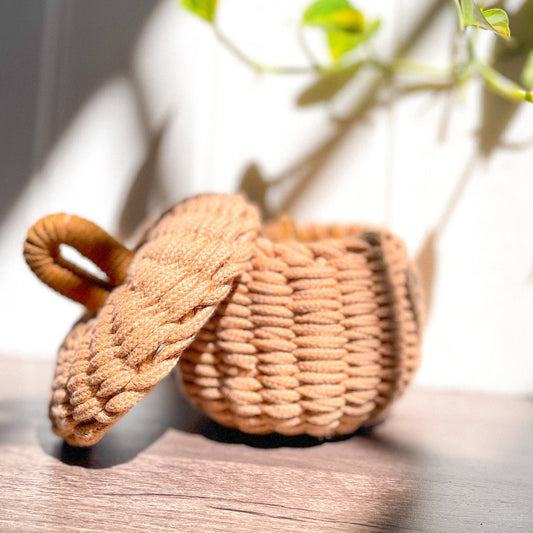 DIY Kit - Making Your Own Basket