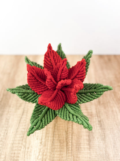 Macrame Poinsettia - Digital PDF and Knot Guide