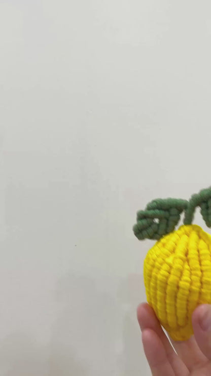 (PRE-ODER) Macrame 3D Lemon - Digital PDF and Knot Guide