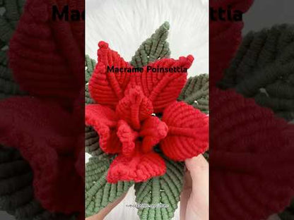Poinsettia in macramè - Guida digitale in PDF e nodi